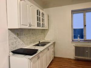 Kuchyň nebo kuchyňský kout v ubytování Apartmány Horní Blatná