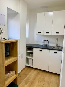 Kuchyň nebo kuchyňský kout v ubytování Apartmány Horní Blatná