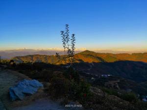 a plant on top of a mountain at sunset at Meraki Huts in Pauri