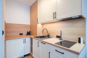 Kuchyňa alebo kuchynka v ubytovaní Apartamenty na Uroczysku