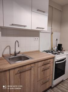 een keuken met een wastafel en een fornuis bij Baross apartman in Kaposvár