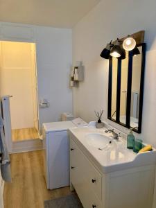 uma casa de banho com um lavatório e um espelho em Appartement avec terrasse et parking gratuit accolé em Montbéliard