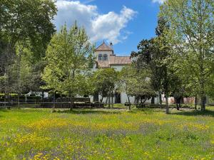 un campo de flores frente a un edificio en Quinta do Areal en Lousã