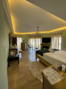 Ami Residence Bucharest Airport,Therme&FREE PARKING Otopeni的电视和/或娱乐中心