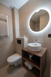 ein Badezimmer mit einem Waschbecken, einem WC und einem Spiegel in der Unterkunft Hotel Duinlust in Domburg