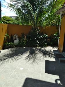 una sombra de una palmera en un patio en Sossego da ilha, en Florianópolis