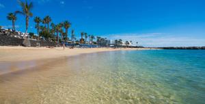 una playa de arena con palmeras y el océano en Apartment Princesa Bitacora, en Puerto del Carmen