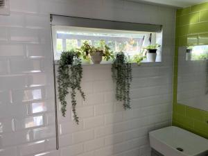 a bathroom with potted plants on a window ledge at Cabin Retreat in the heart of Warwick. in Warwick