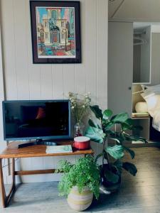 uma sala de estar com uma televisão e uma mesa com uma planta em Cabin Retreat in the heart of Warwick. em Warwick