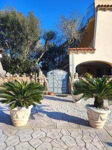 two potted plants sitting in front of a building at Antica Isola in Olbia