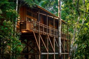 a tree house in the middle of the forest at Pumarinri Amazon Lodge in Tarapoto