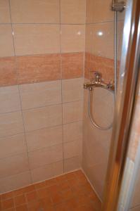 baño con ducha y puerta de cristal en Rooms Aračić, en Slavonski Brod