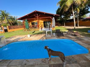 un perro de pie junto a una piscina en Fabulous 5 bedroom villa in Japaratinga, en Japaratinga