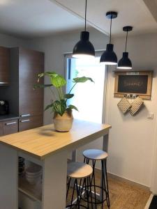a kitchen with a table with a potted plant on it at Appart cosy 4/6 personnes idéalement placé in Aytré