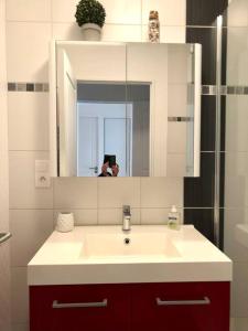 a bathroom sink with a person taking a picture in the mirror at Appart cosy 4/6 personnes idéalement placé in Aytré