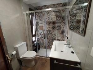 uma casa de banho com um WC, um lavatório e um chuveiro em Apartamento Centro y Playa em Gijón
