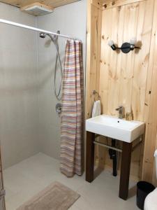 ein Bad mit einem Waschbecken und einer Dusche in der Unterkunft Résidences touristiques l’Abris in LʼAnse-Saint-Jean