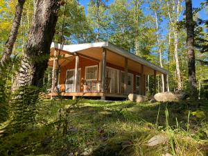 uma pequena cabana na floresta com árvores em Bear Cabin - Cozy Forest Retreat nearby Lake em East Kemptville