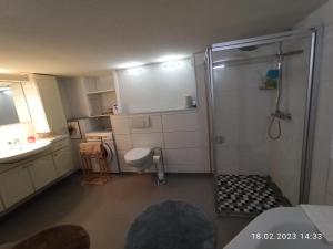 a bathroom with a shower and a toilet and a sink at Ferienhaus Laila in Hochstetten-Dhaun