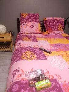 a bedroom with two beds with pink and purple sheets at Chambre 23m2 avec jardin Wi-Fi gratuit Saint-Girons in Saint-Girons