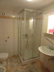 a bathroom with a shower and a toilet and a sink at Apartments Karlobag/Velebit Riviera 17136 in Vidovac