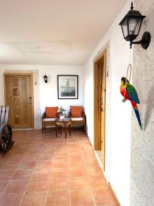 Φωτογραφία από το άλμπουμ του Noe Hotel Punta Cana στην Πούντα Κάνα