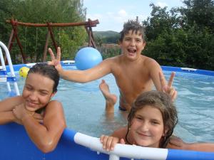 a group of children in a swimming pool at Pension Bassen in Bazna