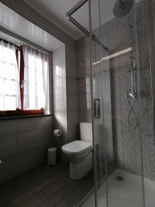 y baño con aseo y ducha acristalada. en Miragaia Star Apartments, en Angra do Heroísmo