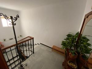 Fotografia z galérie ubytovania Apartamentos "Un Rico Domingo", Parking solo planta baja v destinácii Torrox Costa