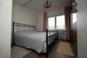 una camera con letto e finestra di Entire apartments with stunning view a Cademario