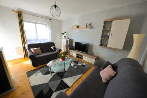 a living room with a couch and a table at Apartman Anita in Buzet