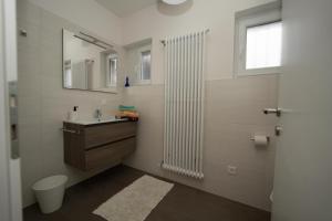 bagno con lavandino, servizi igienici e specchio di Entire apartments with stunning view a Cademario