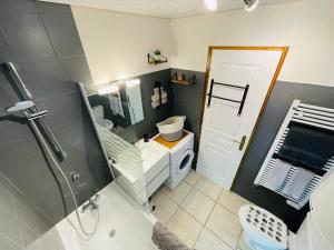 La salle de bains est pourvue d'une douche, de toilettes et d'un lavabo. dans l'établissement Au Doubs Village, à Métabief