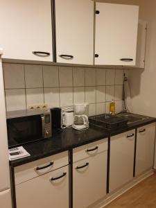 a kitchen with a counter top with a microwave at FeWo Nina 3 - Monteurwohnung in Weißenfels