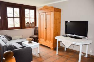 Μια τηλεόραση ή/και κέντρο ψυχαγωγίας στο Ferienhaus Ostebogen