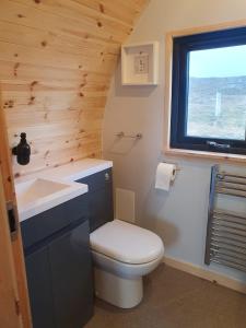 a small bathroom with a toilet and a sink at Grimsay Glamping, North Uist - Pod Ruadh in Rossinish