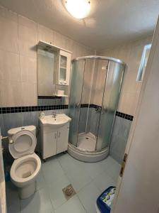 uma casa de banho com um chuveiro, um WC e um lavatório. em Apartments Luna Azura em Ohrid