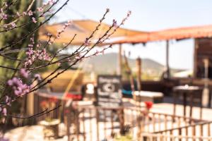 a tree branch with purple flowers in front of a building at Hotel Boutique Calderon in Huasca de Ocampo