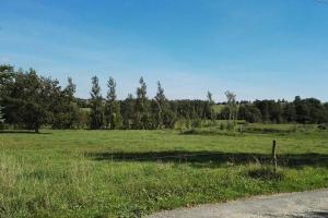 a field of green grass with a fence and trees at Ferienwohnung in Mittelsaida in Großhartmannsdorf