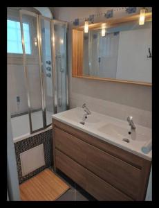 uma casa de banho com um lavatório e um chuveiro em COSY HOME - Wifi - Paris/Orly - Accès 24/24 em Sainte-Geneviève-des-Bois