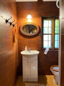 La salle de bains est pourvue d'un lavabo, de toilettes et d'un miroir. dans l'établissement Dom Karwia, à Karwia