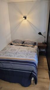 een bed met 2 kussens in een kamer bij Studio cosy Saint-Étienne centre ville in Saint-Étienne