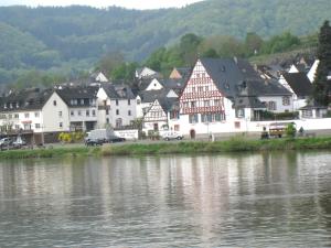 eine Stadt neben einem Wasserkörper mit Häusern in der Unterkunft Holiday home in Wehlen with Moselle view in Wehlen