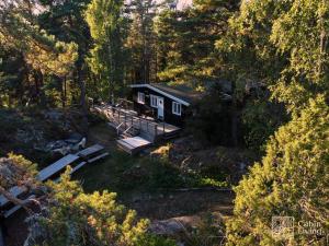 uma casa no meio de uma floresta em Summer Cabin Nesodden sauna, ice bath tub, outdoor bar, gap hut em Brevik
