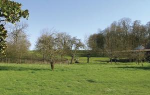 a field of green grass with trees in the background at Cozy Home In St Jean Aux Amognes in Nanton +3 photos