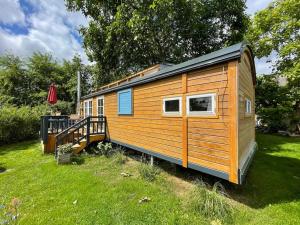 een kleine houten hut in een grasveld bij Tiny House Ostsee # Naturwerk in Pruchten