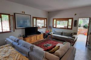 a living room with a couch and a flat screen tv at עין הוד בית בטבע עם בריכה שקט נוף מדהים להר ואדי והים in Ein Hod