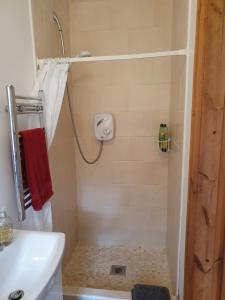 a bathroom with a shower with a toilet and a sink at Cosy self contained cottage with stunning views in Killaloe