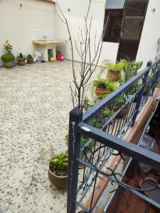 a fence in front of a courtyard with potted plants at Tapia house in Sucre