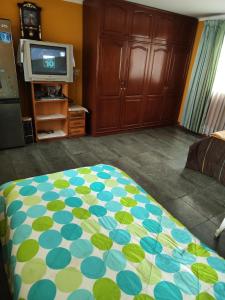 a bedroom with a bed and a tv in it at Tapia house in Sucre